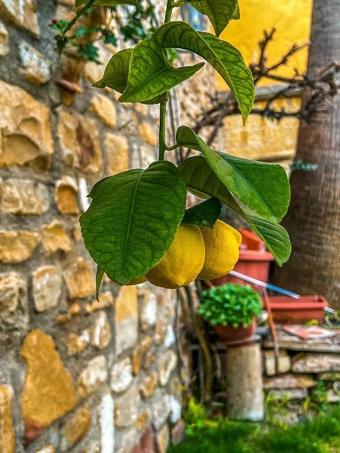 Vtar Casa Las Tinajas Baeza